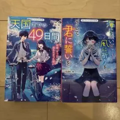 野いちごジュニア文庫2冊セット