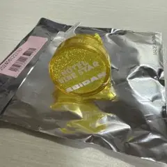 エビライ2025 ランダムライトリング　リングライト( BUDDiiS)