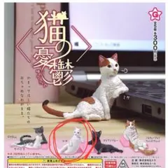 新品未使用 ガチャ 『猫の憂鬱』シロ