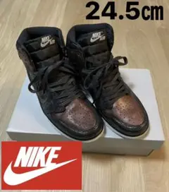 100.2回着用美品NIKEナイキエアジョーダン1ブロンズハイカット24.5cm