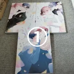 おかえり、初恋。 = Welcome back,First love３冊セット