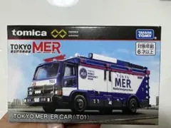 Item thumbnail for item 0f529d67-ca29-4a63-8d60-ac6c4f81cdf4