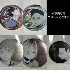 ハイキュー!! ファンパーク 缶バッジ2種 バラ売りです。