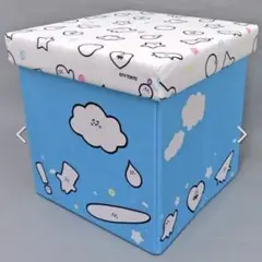 【新品未開封】シナぷしゅ スツール 収納 収納ボックス おもちゃ 収納BOX