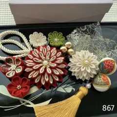 Item thumbnail for item 4f3a8d3f-ca97-48c6-856a-122f9537716a