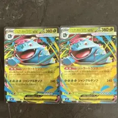メガフシギバナEX 2枚セット