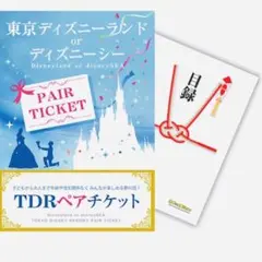 東京ディズニー ペアチケット 引換券