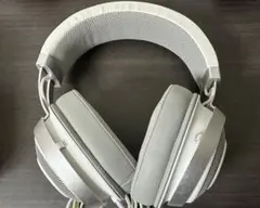 Item thumbnail for item 585162f6-2bcf-4561-b856-9b116b2be486