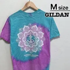 USA古着　GILDAN　Tシャツ　M　ライトブルー　パープル　トップセール島
