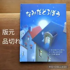 【品切れ・重版未定】なみだどろぼう　ニコレッタ・セコリ