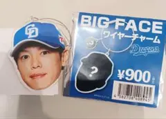 中日ドラゴンズ 浅尾拓也 BIG FACE ワイヤーチャーム ドラゴンズガチャ