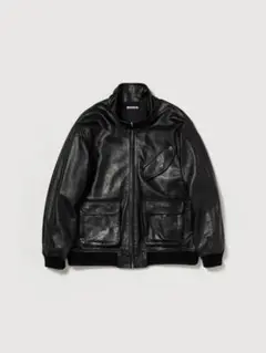 Item thumbnail for item e4ccfcae-e9d7-4f7c-a69f-2edf0c129b66