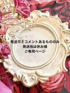 発送可とコメントあるもののみ発送他は休み様 ご専用ページです