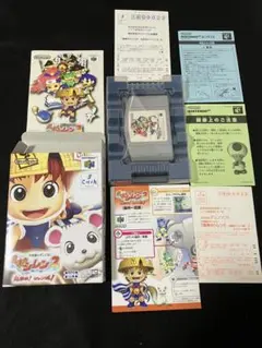 ニンテンドー64 極み美品　取り扱い説明書、初期用紙、箱付き
