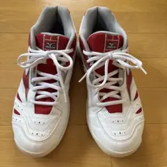 Mizuno ミズノ WAVE GATE バドミントンシューズ 25.０cm