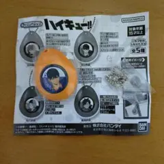 ハイキュー　サウンドロップ　影山飛雄