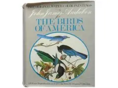 洋書◆アメリカの鳥画集 作品写真集 本 水彩画