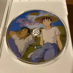 おもひでぽろぽろ ('91日) セル版DVD ※本編ディスクのみ