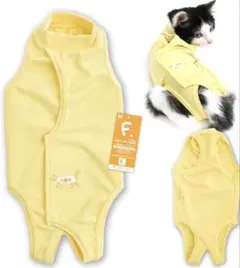 Item thumbnail for item c3ea5155-3180-45f8-9728-2451c2bf7d62