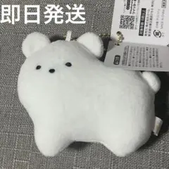 【即日発送】34こセット／つぶらな瞳の動物園　ひつじ　しろくま　かぴばら 2025年最新】つぶらな瞳の動物園 しろくまの人気アイテム - メルカリ