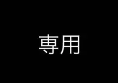 専用ページ