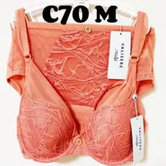 C70 トリンプ ヴィリゼールバイトリンプ ブラu0026ショーツ