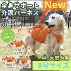 Item thumbnail for item a9fa88dd-a7ab-40f0-bd6f-bc62a30437ec