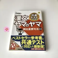 漢文 ヤマのヤマ 頻出重要句法 66 共通テスト対応版