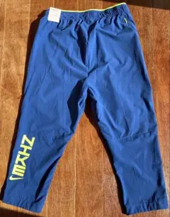 Item thumbnail for item 933b4032-b8e9-45b3-8225-6dd872e0eeab