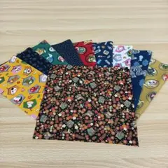 ★C109★ カットクロス/プリント生地/国産/25cm×25cm/10点