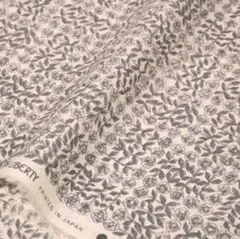 Item thumbnail for item c3080d04-31b2-4af6-9e26-3fca65283786