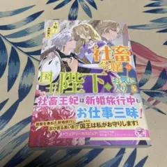 社畜令嬢は国王陛下のお気に入り2