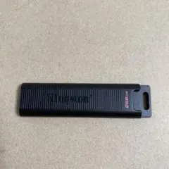 Kingston DataTraveler Max DTMAX/256GB