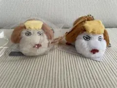 ハウルの動く城　ヒン　キーホルダー　ぬいぐるみ　どんぐり共和国　ジブリパーク
