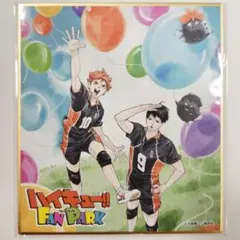 ハイキュー　ファンパーク　入場特典