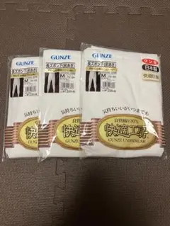 GUNZE 快適工房 レギンス M 3枚セット