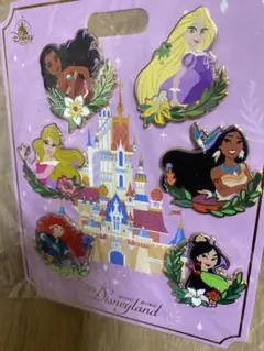 ディズニー 香港 海外 プリンセス ピンバッチ モアナ ムーラン ラプンツェル