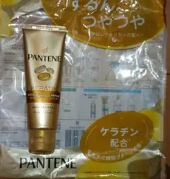 〔新品未開封〕パンテーンエクストラダメージリペア　洗い流すトリートメント　70ｇ