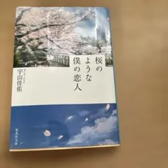 桜のような僕の恋人