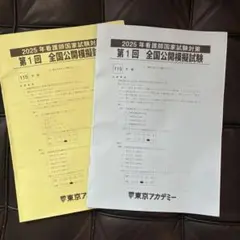 東京アカデミー　看護　模試