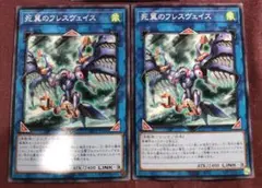 死翼のフレスヴェイス　2枚