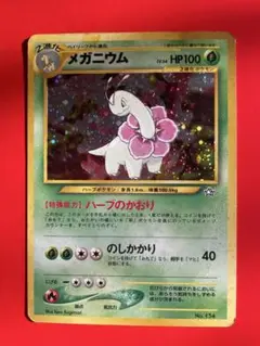 メガニウム イントロパック★neo