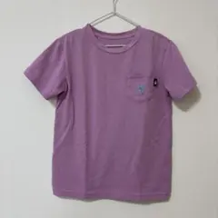 Item thumbnail for item 7427aeea-c028-4331-be23-74f06092d38a
