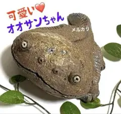 可愛い❤️縁起物❣️オオサンちゃん❤️陶器人形、置物、作家、爬虫類、両生類、フィギュア