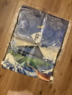 【非売品】北海道日本ハムファイターズ　超夏ナップサック　ナイターver