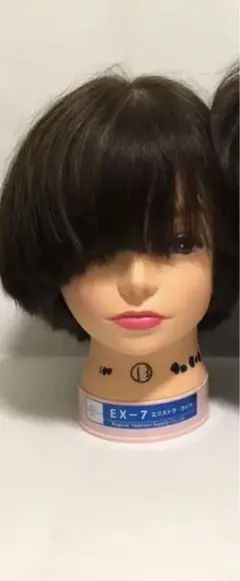 カットウィッグ 美容師 国家試験用 練習用