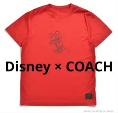 Disney × COACH コラボ Tシャツ ユニセックス 2016SS 希少