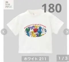 ミコリッド　チマジロ　180cm 犬Tシャツ