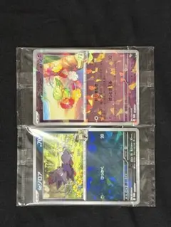 Nのゾロア リーリエのキュワワー未開封セット