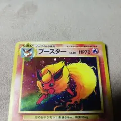 旧裏ポケカ　ブースター　サンダース　シャワーズ